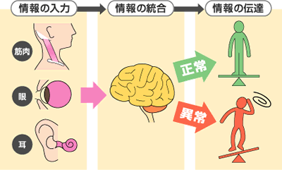 めまいのリハビリ・対処法